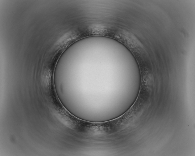 X0000111920744200908031204