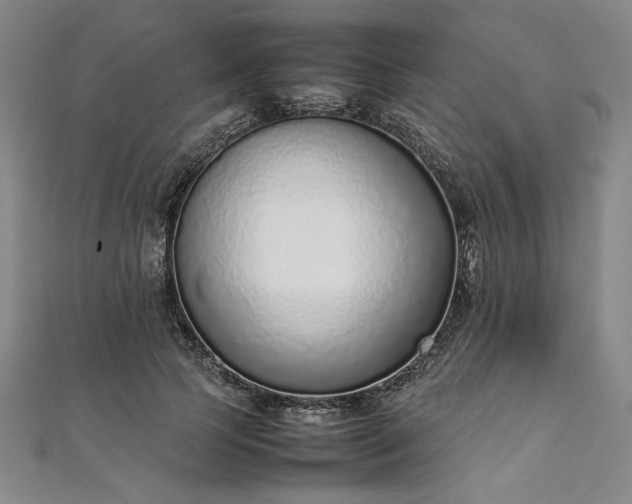 X0000111920745200908031204