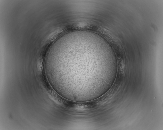 X0000111920746200908031204