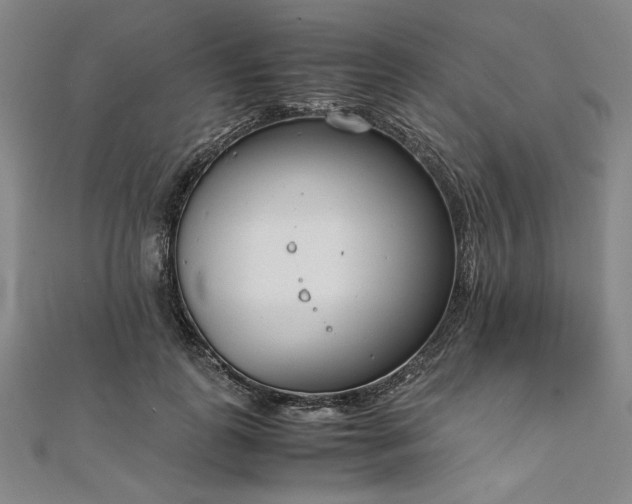 X0000111920747200908031204