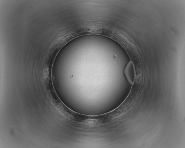 X0000111920748200908031204