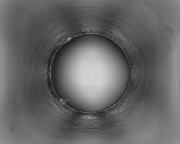 X0000111920749200908031204