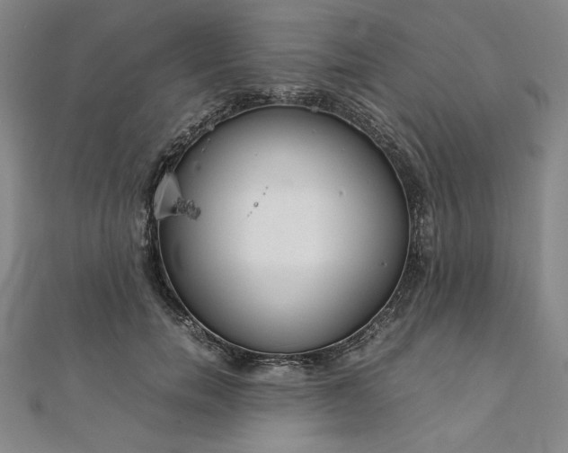 X0000111920750200908031204