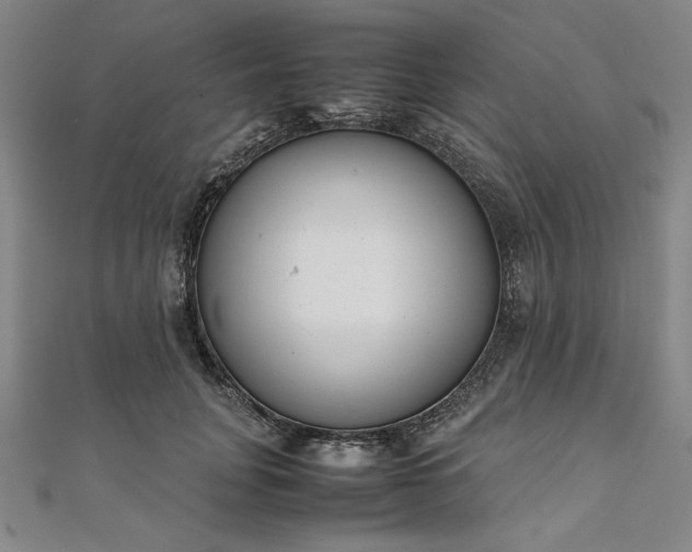 X0000111920751200908031204