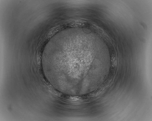 X0000111920753200908031204