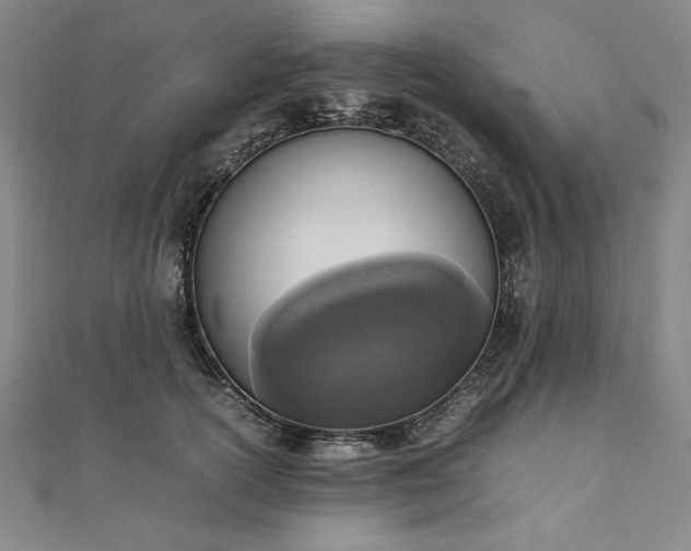 X0000111920754200908031204