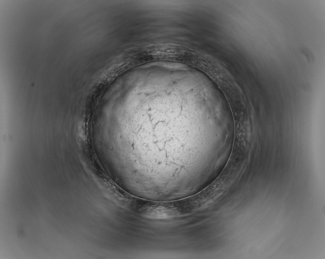 X0000111920755200908031204