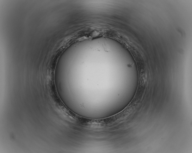 X0000111920756200908031204