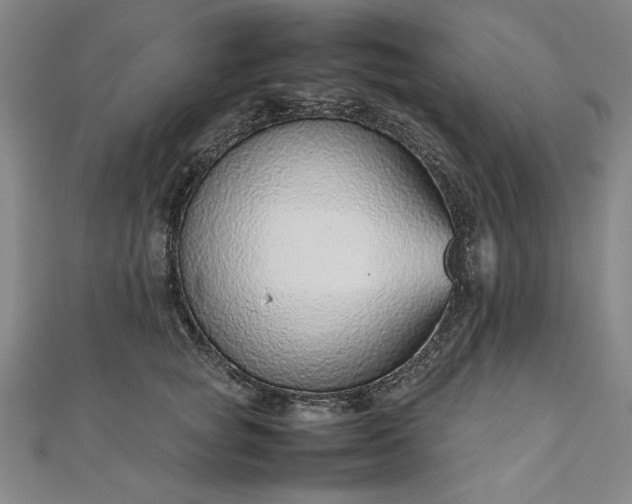 X0000111920757200908031204