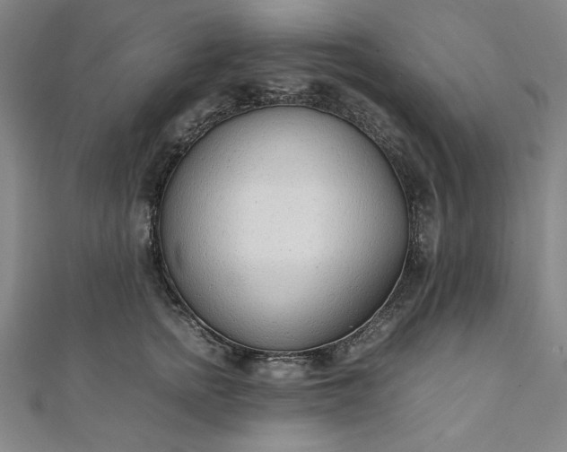 X0000111920758200908031204