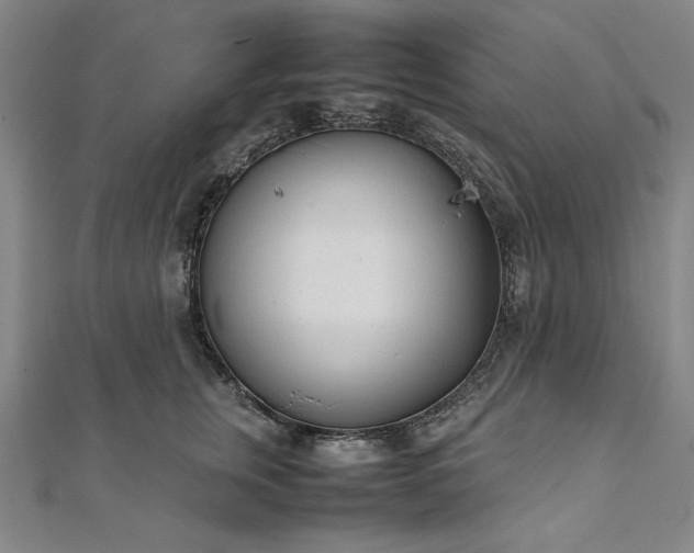 X0000111920759200908031204