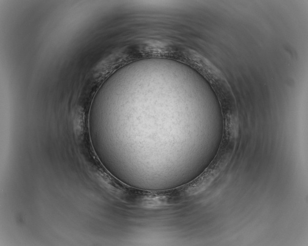 X0000111920760200908031204