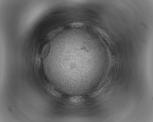 X0000111920761200908031204