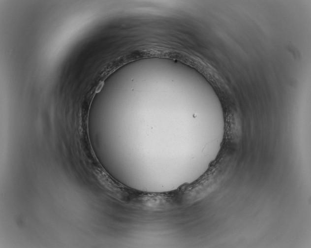 X0000111920762200908031204