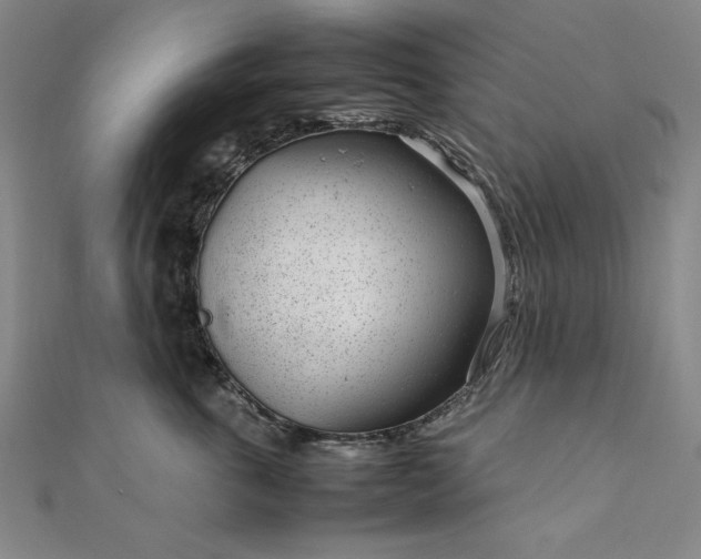 X0000111920763200908031204