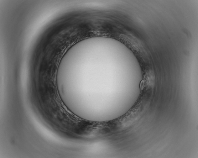 X0000111920764200908031204