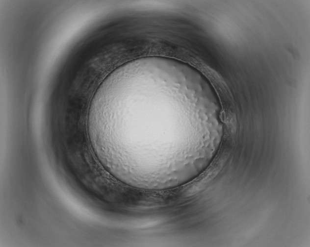 X0000111920765200908031204