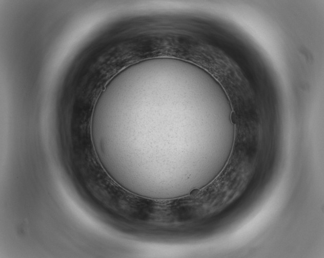 X0000111920766200908031204