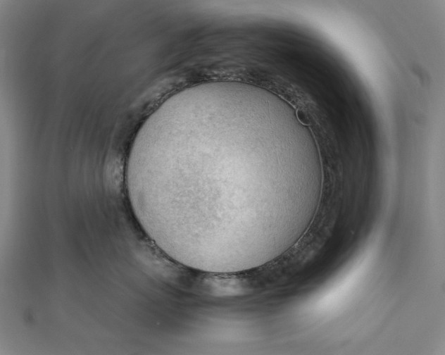 X0000111920767200908031204