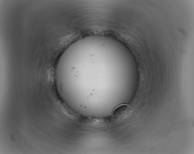 X0000111920768200908031204