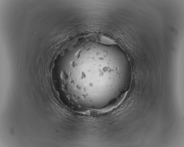 X0000111920769200908031204