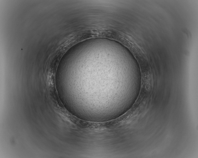 X0000111920770200908031204