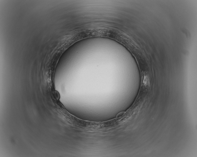 X0000111920771200908031204