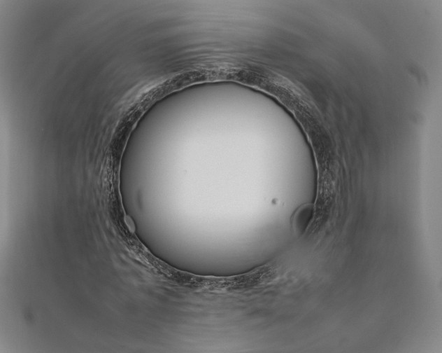 X0000111920773200908031204