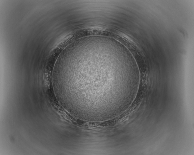 X0000111920774200908031204