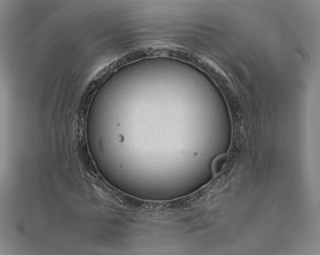 X0000111920775200908031204