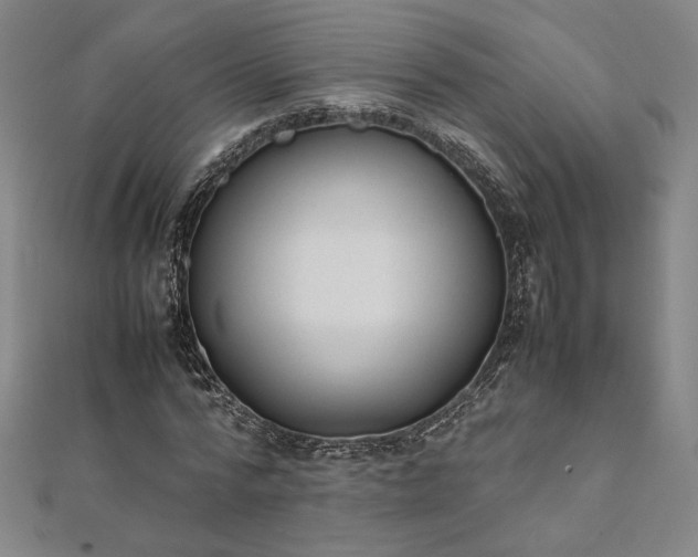 X0000111920776200908031204