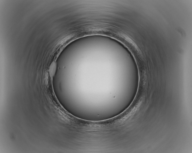 X0000111920777200908031204