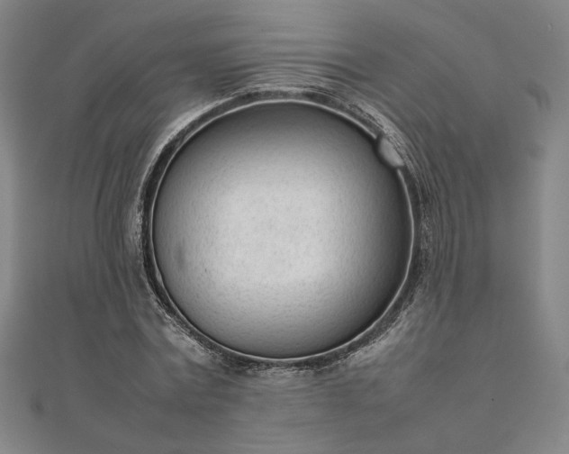 X0000111920779200908031204