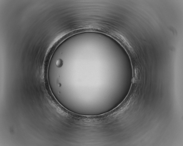 X0000111920780200908031204