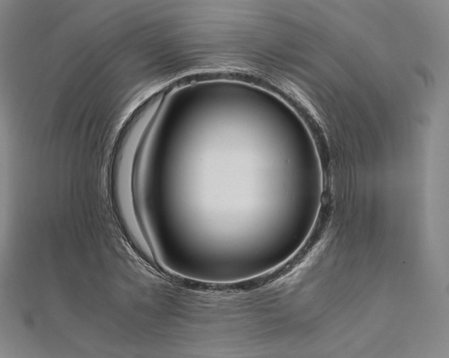 X0000111920781200908031204