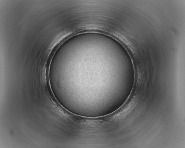 X0000111920782200908031204