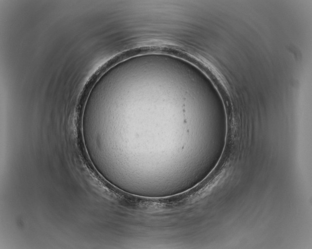 X0000111920783200908031204