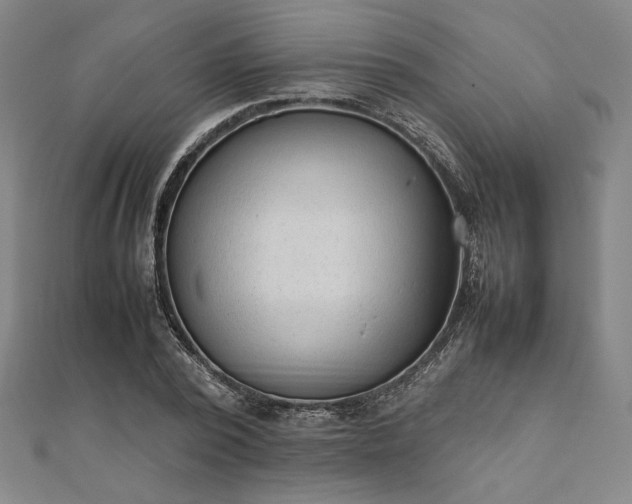 X0000111920784200908031204