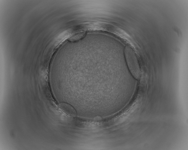 X0000111920785200908031204