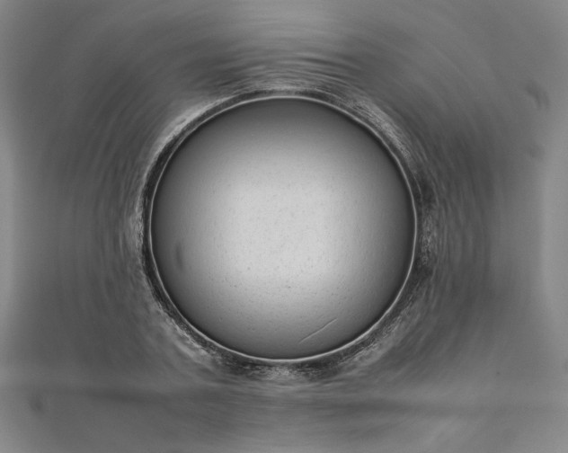 X0000111920787200908031204