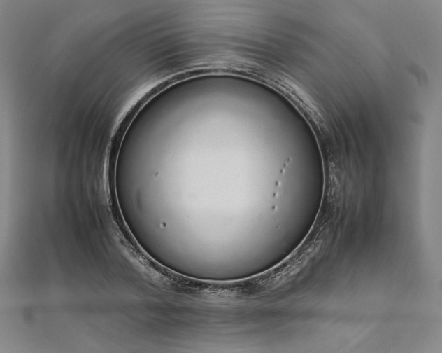 X0000111920788200908031204