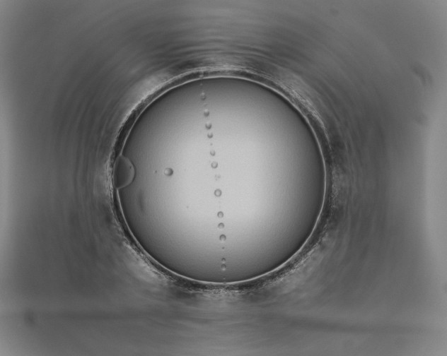 X0000111920789200908031204