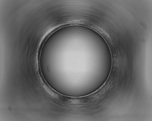 X0000111920792200908031204