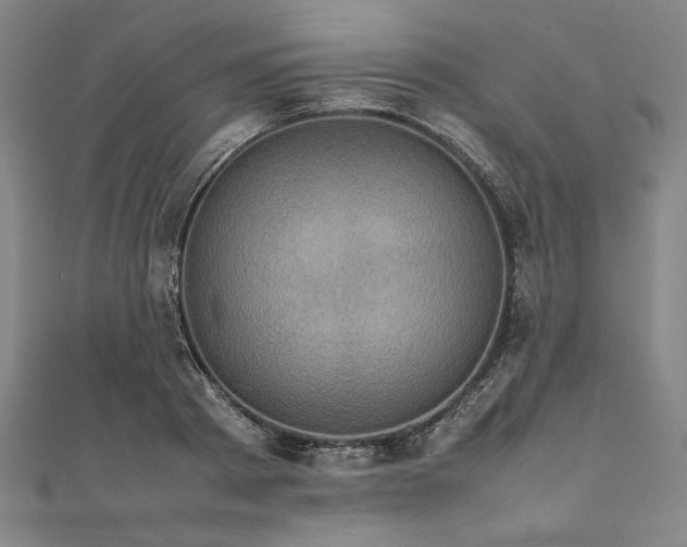 X0000111920793200908031204