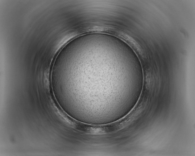 X0000111920794200908031204