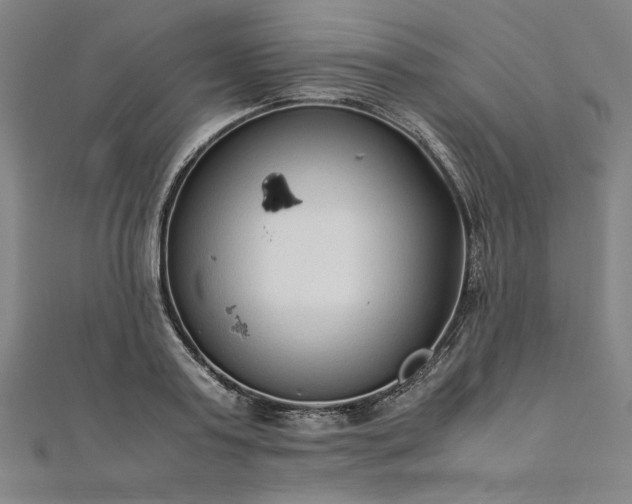 X0000111920795200908031203