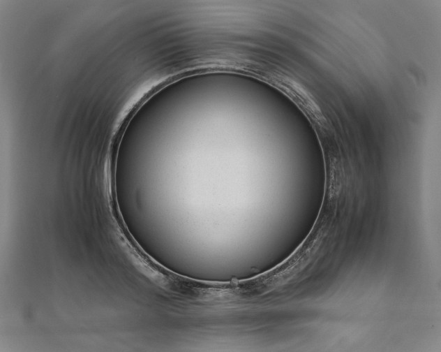 X0000111920796200908031203