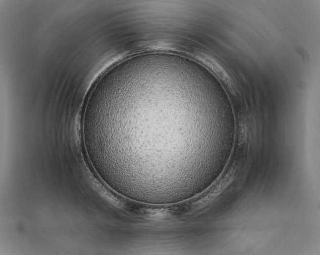 X0000111920798200908031203