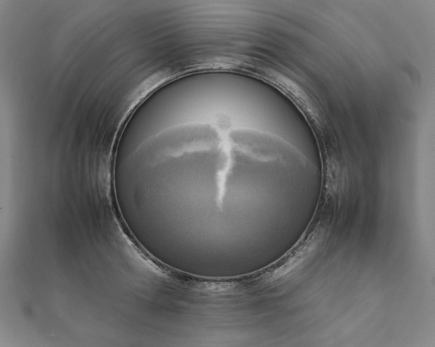 X0000111920802200908031203