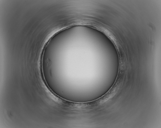 X0000111920803200908031203